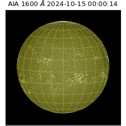 saia - 2024-10-15T00:00:14.131000