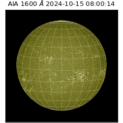 saia - 2024-10-15T08:00:14.125000