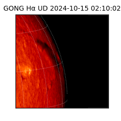 gong - 2024-10-15T02:10:02