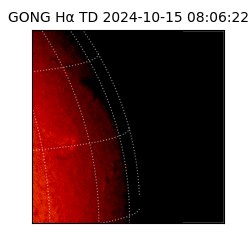 gong - 2024-10-15T08:06:22