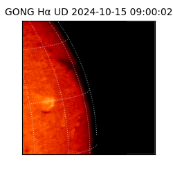 gong - 2024-10-15T09:00:02