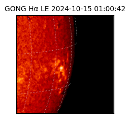 gong - 2024-10-15T01:00:42