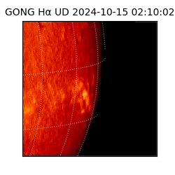 gong - 2024-10-15T02:10:02