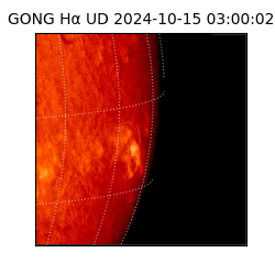 gong - 2024-10-15T03:00:02