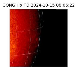 gong - 2024-10-15T08:06:22