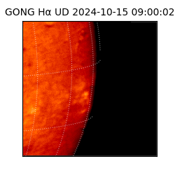 gong - 2024-10-15T09:00:02