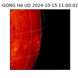 gong - 2024-10-15T11:00:02
