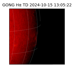 gong - 2024-10-15T13:05:22