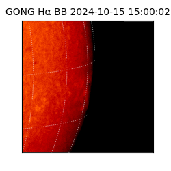 gong - 2024-10-15T15:00:02