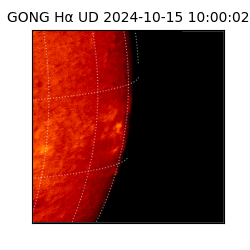 gong - 2024-10-15T10:00:02