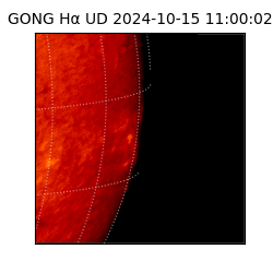 gong - 2024-10-15T11:00:02