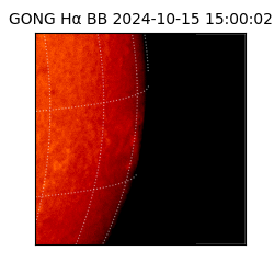 gong - 2024-10-15T15:00:02