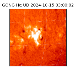 gong - 2024-10-15T03:00:02