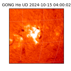gong - 2024-10-15T04:00:02
