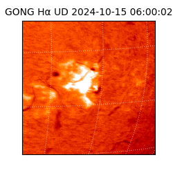 gong - 2024-10-15T06:00:02