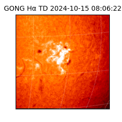 gong - 2024-10-15T08:06:22