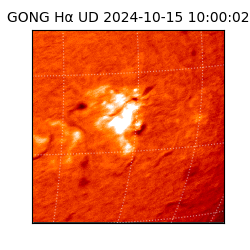 gong - 2024-10-15T10:00:02