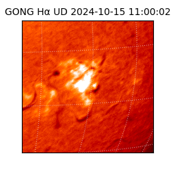 gong - 2024-10-15T11:00:02