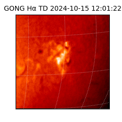 gong - 2024-10-15T12:01:22