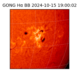 gong - 2024-10-15T19:00:02