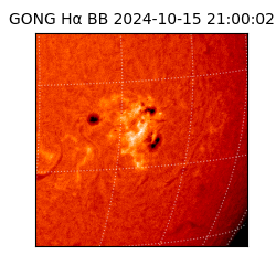 gong - 2024-10-15T21:00:02