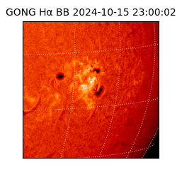 gong - 2024-10-15T23:00:02