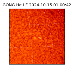 gong - 2024-10-15T01:00:42