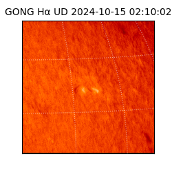 gong - 2024-10-15T02:10:02