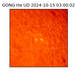 gong - 2024-10-15T03:00:02