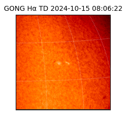 gong - 2024-10-15T08:06:22