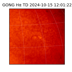 gong - 2024-10-15T12:01:22