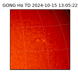 gong - 2024-10-15T13:05:22