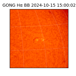 gong - 2024-10-15T15:00:02