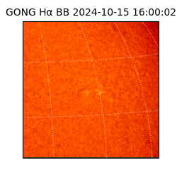 gong - 2024-10-15T16:00:02