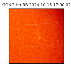 gong - 2024-10-15T17:00:02