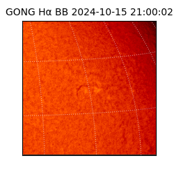 gong - 2024-10-15T21:00:02