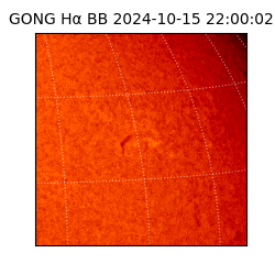 gong - 2024-10-15T22:00:02