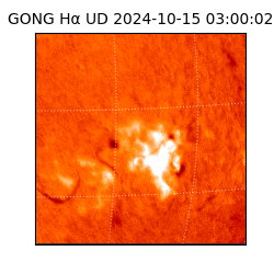 gong - 2024-10-15T03:00:02