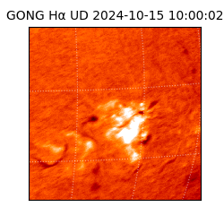 gong - 2024-10-15T10:00:02