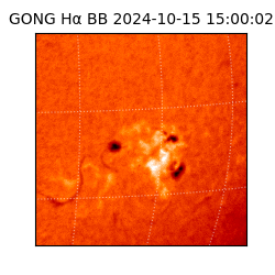 gong - 2024-10-15T15:00:02