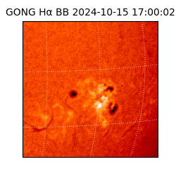 gong - 2024-10-15T17:00:02