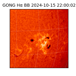 gong - 2024-10-15T22:00:02