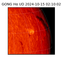 gong - 2024-10-15T02:10:02