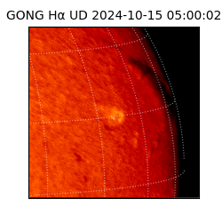 gong - 2024-10-15T05:00:02