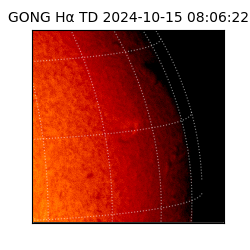 gong - 2024-10-15T08:06:22