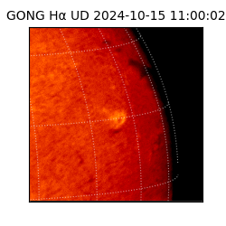 gong - 2024-10-15T11:00:02