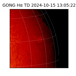 gong - 2024-10-15T13:05:22