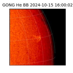 gong - 2024-10-15T16:00:02