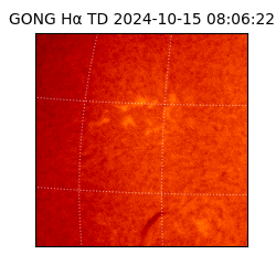 gong - 2024-10-15T08:06:22