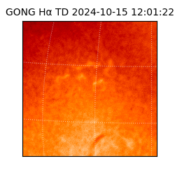 gong - 2024-10-15T12:01:22